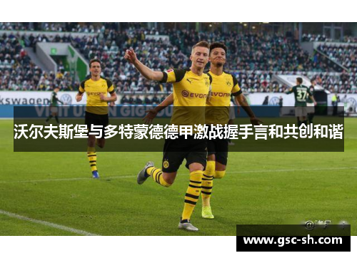 沃尔夫斯堡与多特蒙德德甲激战握手言和共创和谐