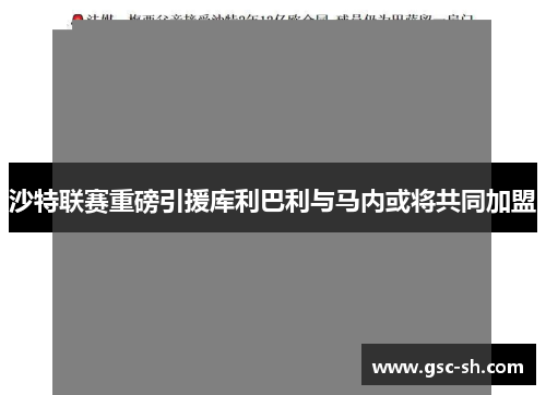 沙特联赛重磅引援库利巴利与马内或将共同加盟