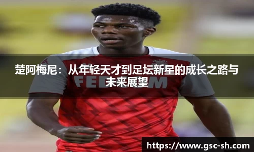 华体会hth登录入口