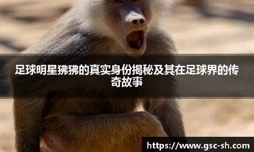 足球明星狒狒的真实身份揭秘及其在足球界的传奇故事