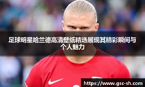 华体会hth登录入口